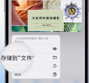 麟游apple维修中心分享iPhone文件应用中存储和找到下载文件