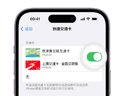 麟游apple维修点分享iPhone上更换Apple Pay快捷交通卡手绘卡面 