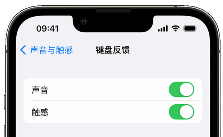 麟游苹果手机维修分享iPhone 14触感键盘使用方法 