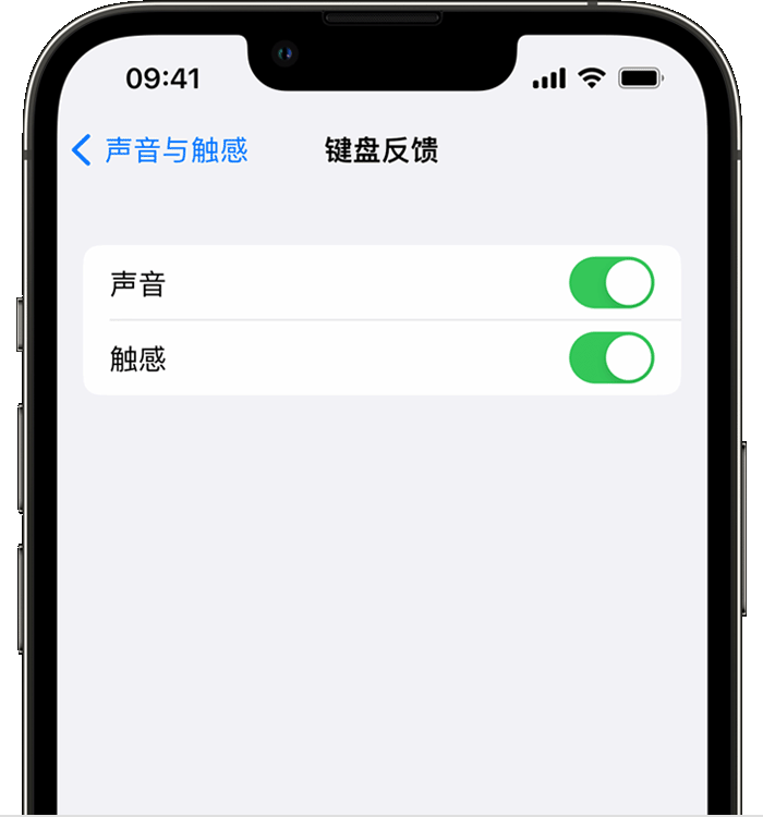 麟游苹果14维修店分享如何在 iPhone 14 机型中使用触感键盘 