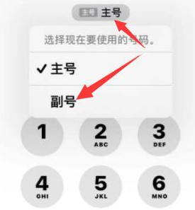 麟游苹果14维修店分享iPhone 14 Pro Max使用副卡打电话的方法 