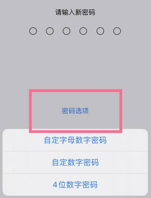 麟游苹果14维修分享iPhone 14plus设置密码的方法 