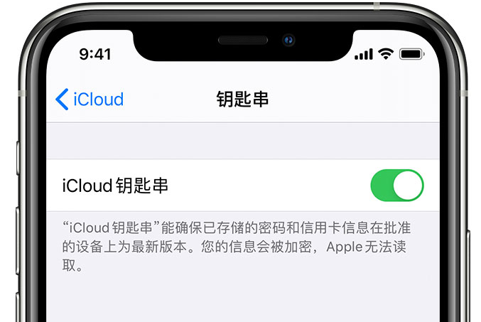 麟游苹果手机维修分享在 iPhone 上开启 iCloud 钥匙串之后会储存哪些信息 