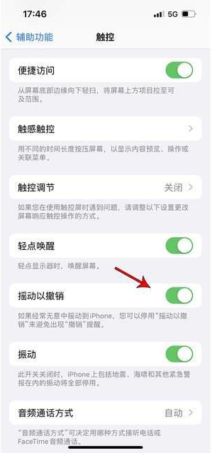 麟游苹果手机维修分享iPhone手机如何设置摇一摇删除文字 